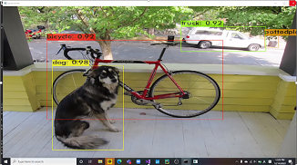 a dog and a bicycle