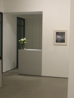 Galleria il Gabbiano, Museoplan