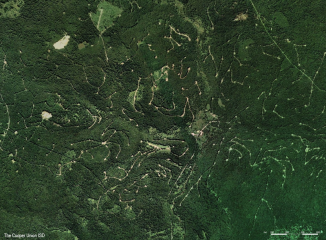 Hydro-fracking well sites in Allegheny National Forest, Pennsylvania.