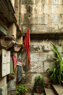 Ritualistic artifacts and potted plants contrast with the 11th century stone walls of the Maata Bhavani vaav.