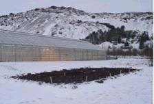Agricultural University of Iceland, Hveragerdi, Winter 2008