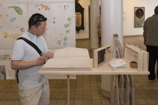 Thesis: Fall & Spring Semesters