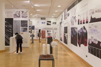 Graduate Research Design Studio II: Spring Semester. 'Architecture of Nature/Nature of Architecture'