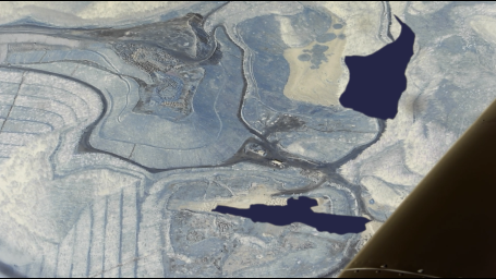 Fia Backström, "Toxicology Report"