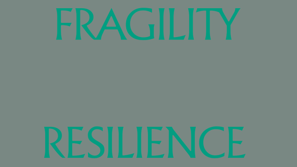 Graphic that says fragility and resilience