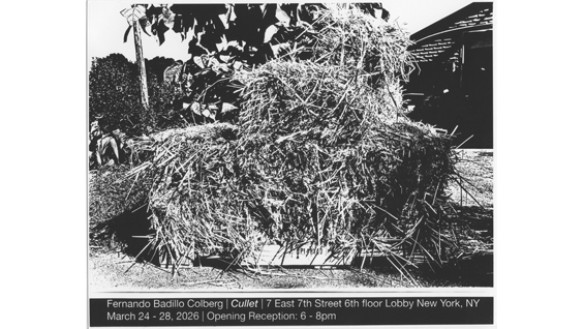 Senior Presentation by Fernando Badillo Colberg