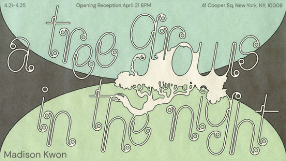 Senior Presentation by Madison Kwon